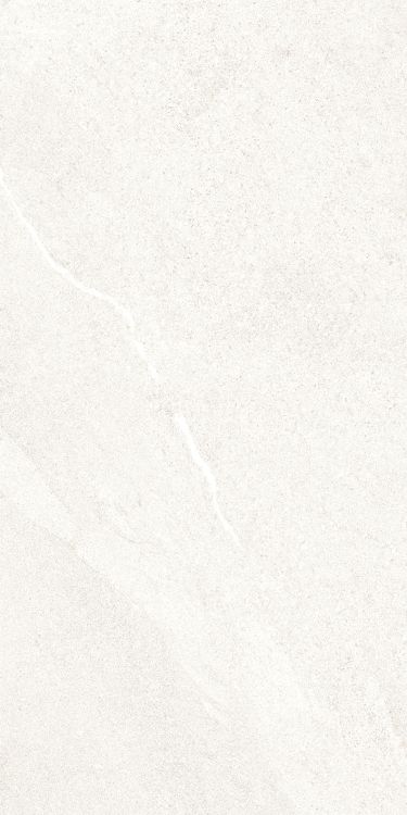 Dhara White Matte 12 x 24